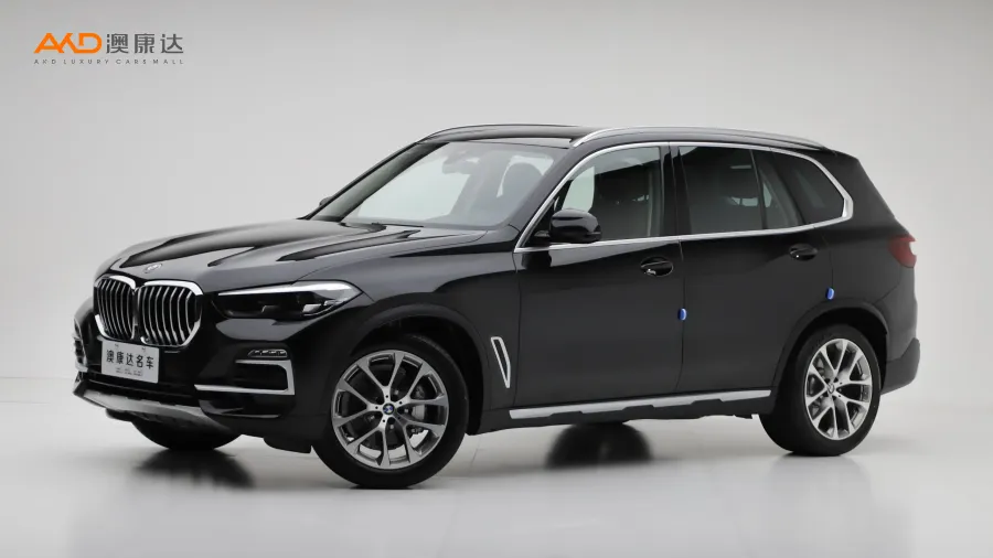 二手宝马X5 xDrive30i X设计套装图片