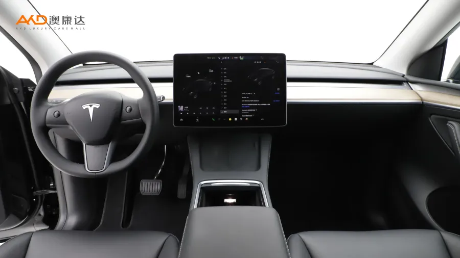 二手特斯拉Model Y 改款 后轮驱动版图片3492854