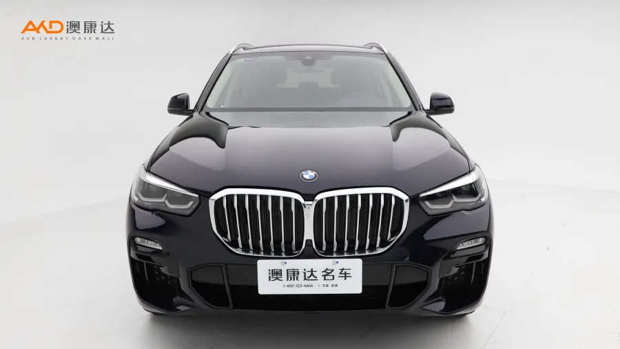 二手宝马X5 xDrive30i M运动套装图片3496276