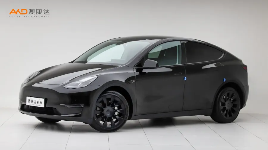 二手特斯拉Model Y 长续航全轮驱动版图片