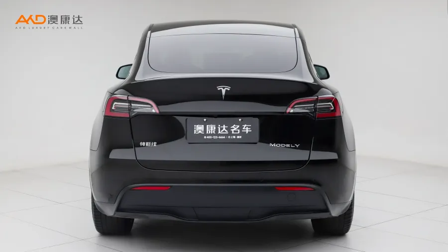 二手特斯拉Model Y 长续航全轮驱动版图片3498142