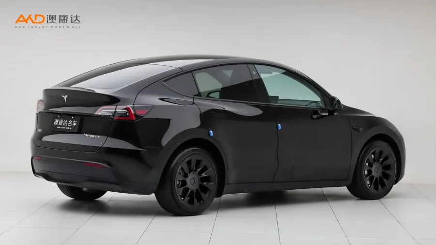 二手特斯拉Model Y 长续航全轮驱动版图片3498138