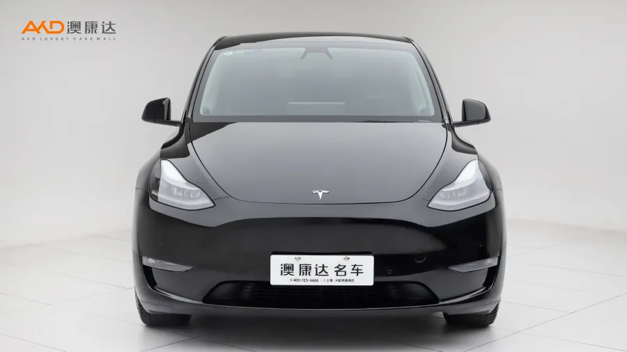 二手特斯拉Model Y 长续航全轮驱动版图片3498134