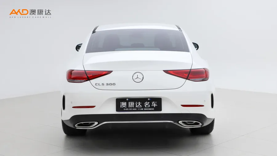 二手奔驰CLS300 改款 动感型图片3499793