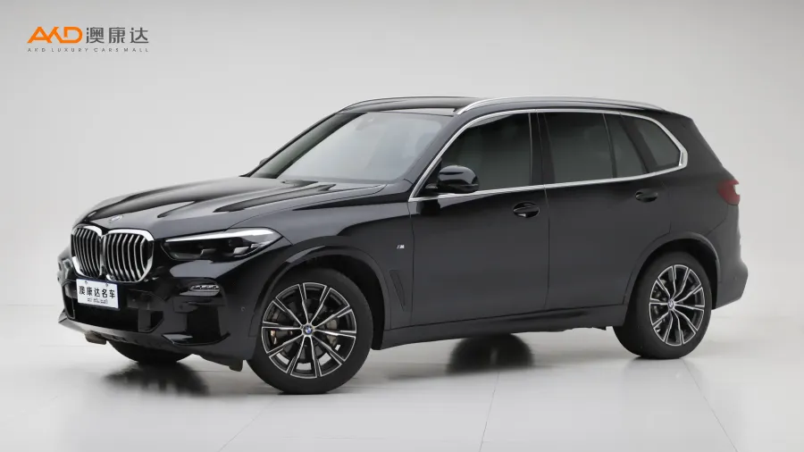 二手宝马X5 xDrive30i M运动套装图片