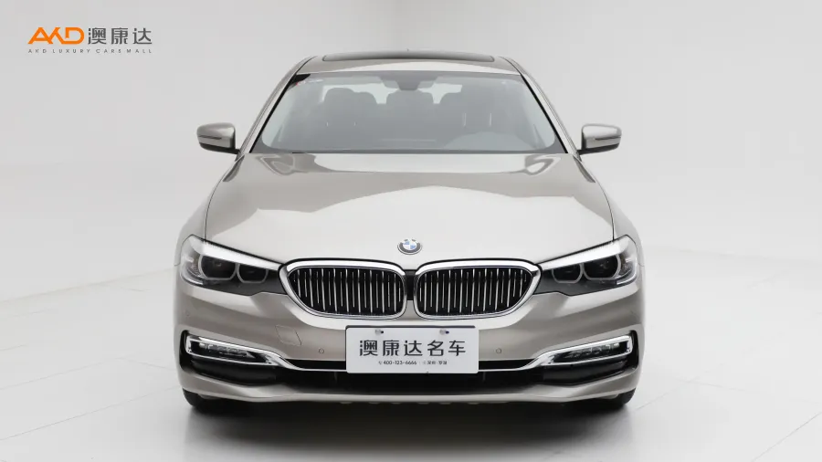 二手宝马530Li 领先型豪华套装图片3505523