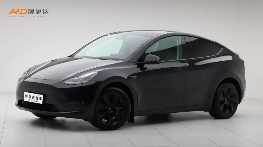 二手特斯拉Model Y 长续航全轮驱动版图片