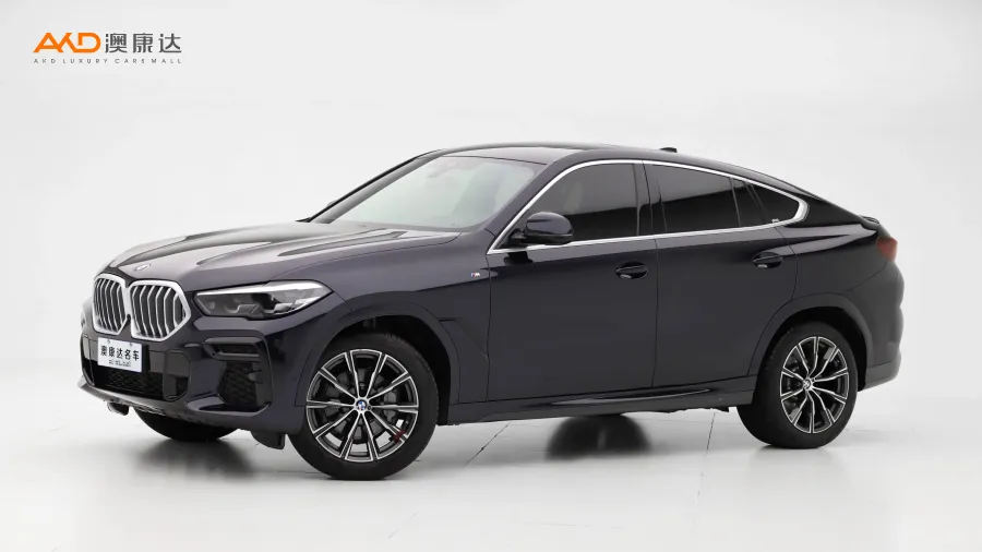 二手宝马X6 xDrive30i M运动套装图片