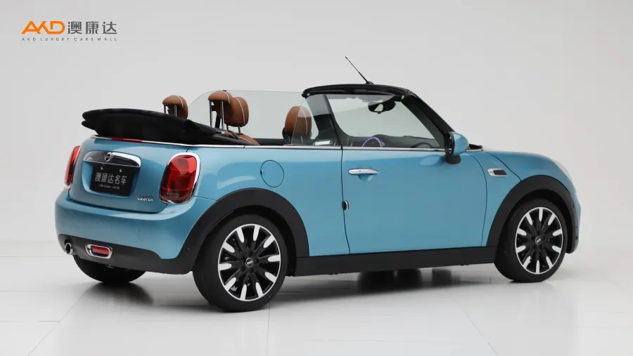 二手MiNi COOPER CABRIO 艺术家图片3508932