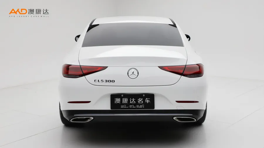 二手奔驰CLS300 动感型图片3509803