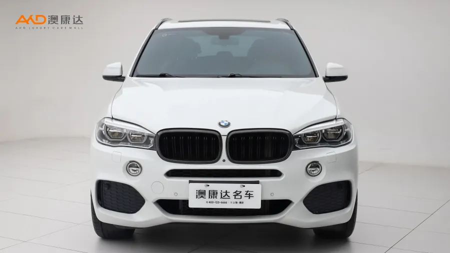 二手宝马X5 xDrive35i M豪华运动型图片3510416