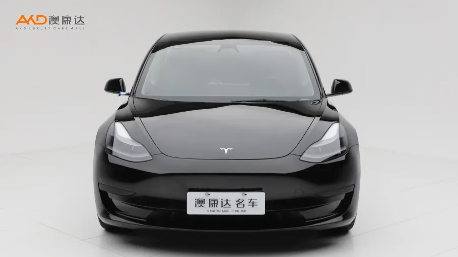 二手特斯拉Model 3 标准续航后驱升级版3D6图片3510980