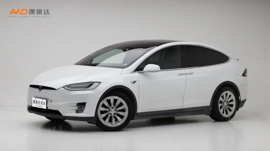 二手特斯拉Model X 75D图片