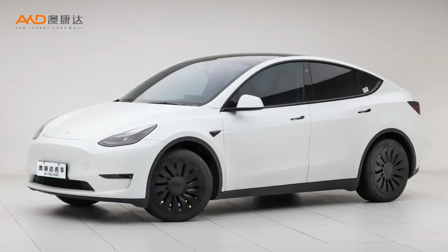 二手特斯拉Model Y 标准续航后驱版图片