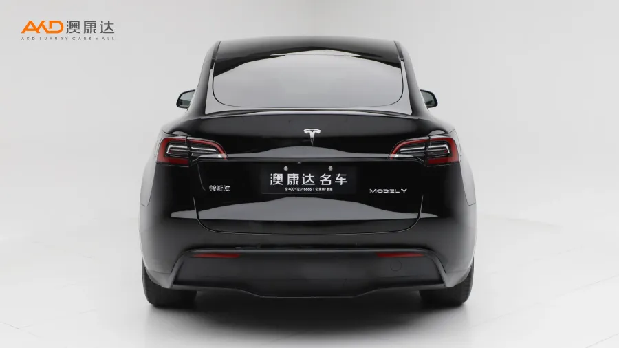 二手特斯拉Model Y 标准续航后驱版图片3518574