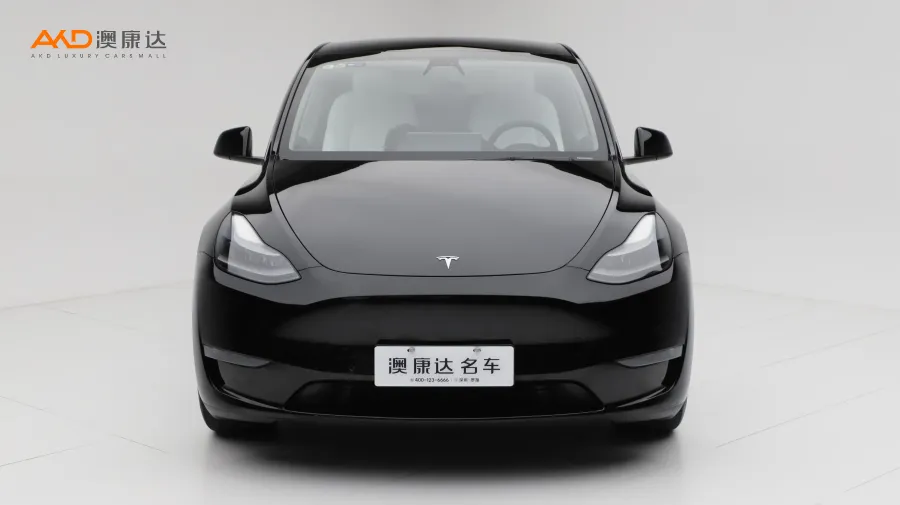 二手特斯拉Model Y 标准续航后驱版图片3518568