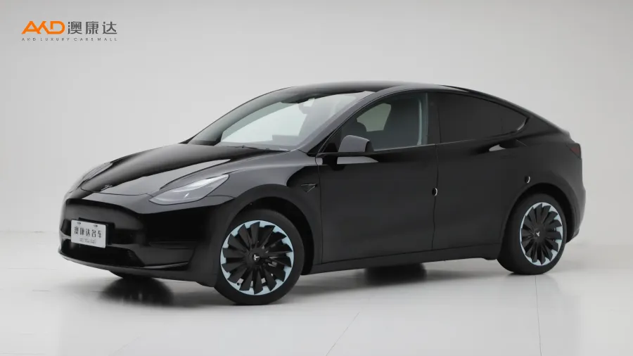 二手特斯拉Model Y 改款 后轮驱动版图片