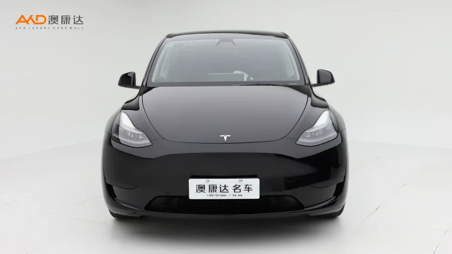 二手特斯拉Model Y 后轮驱动版图片3525685