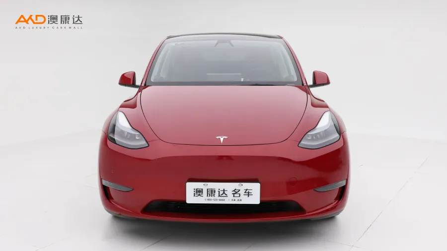 二手特斯拉Model Y Performance高性能全轮驱动版图片3531865