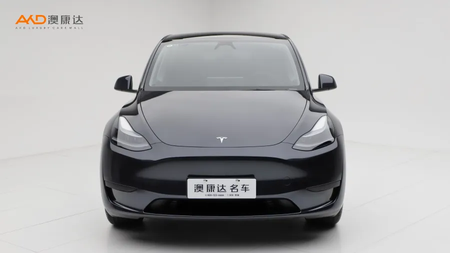 二手特斯拉Model Y 后轮驱动版图片3534775