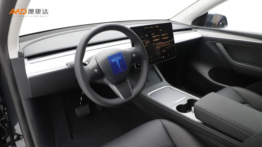 二手特斯拉Model Y 长续航全轮驱动版图片3539636