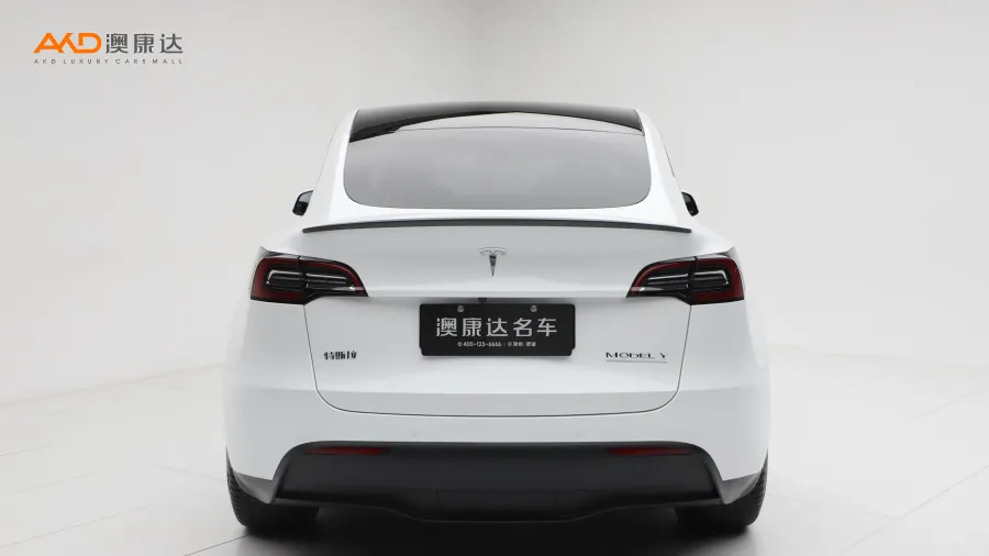 二手特斯拉Model Y Performance高性能全轮驱动版图片3538632