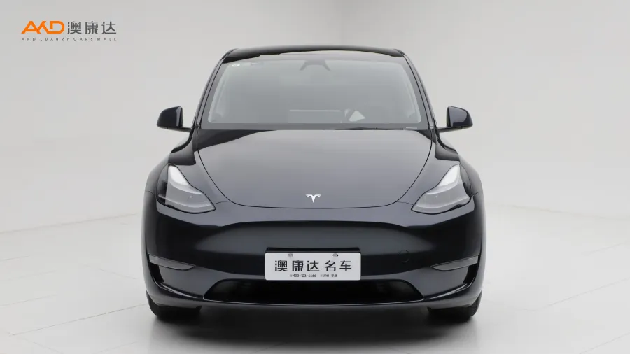 二手特斯拉Model Y 长续航全轮驱动版图片3539625