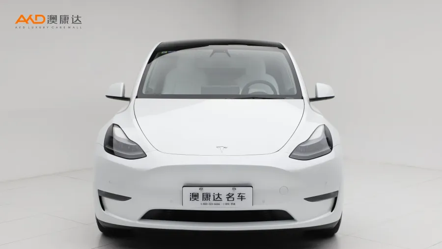 二手特斯拉Model Y Performance高性能全轮驱动版图片3538626