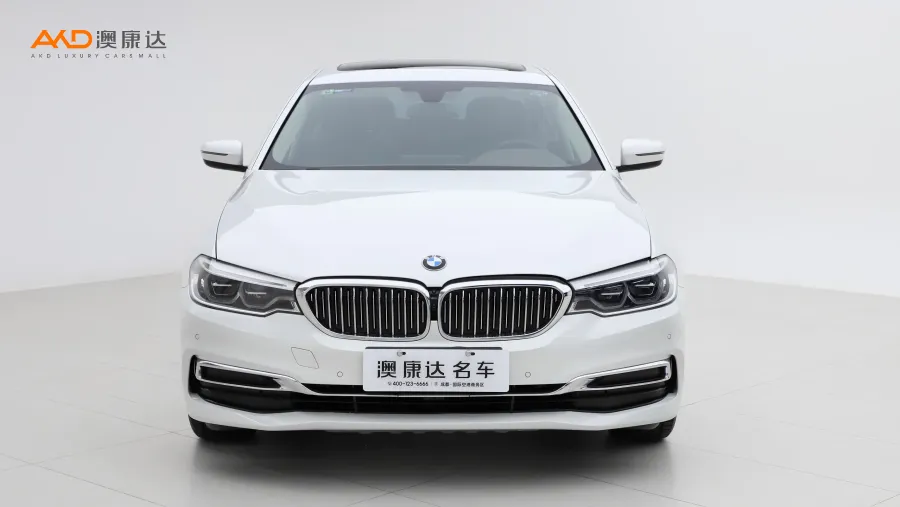 二手宝马530Li 领先型 豪华套装图片3540458