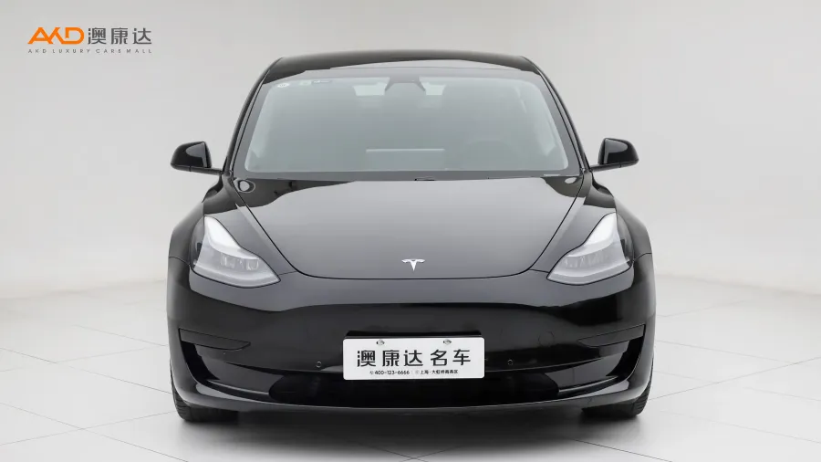 二手特斯拉Model 3 标准续航后驱升级版图片3543510