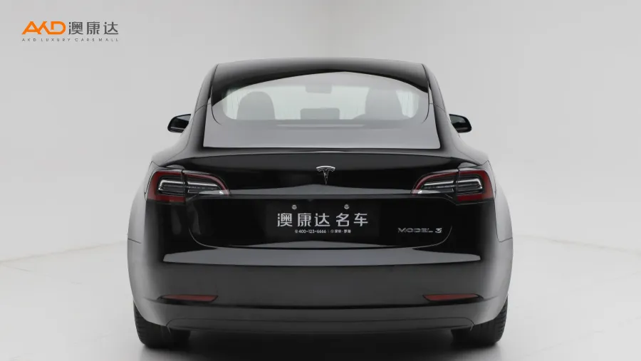 二手特斯拉Model 3 标准续航后驱升级版图片3548857