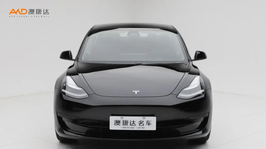 二手特斯拉Model 3 标准续航后驱升级版图片3548851