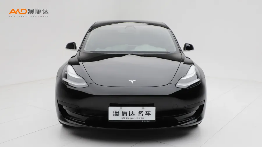 二手特斯拉Model 3 标准续航后驱升级版图片3548247