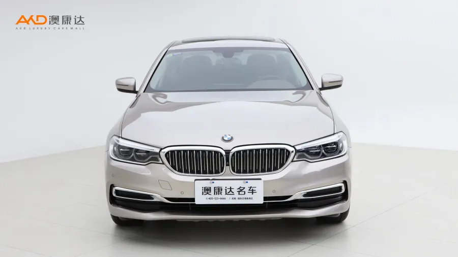 二手宝马530Li 领先型 豪华套装图片3550057