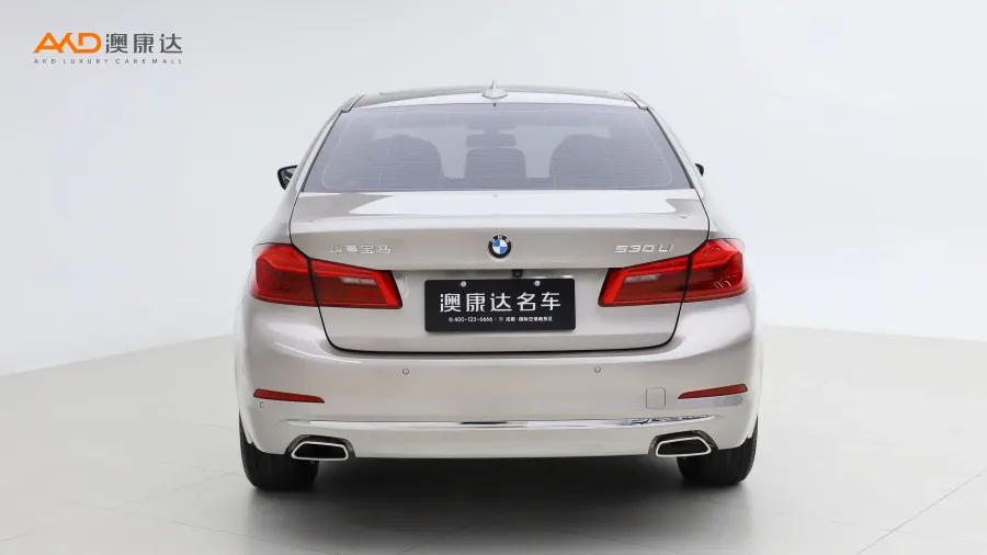 二手宝马530Li 领先型 豪华套装图片3550066