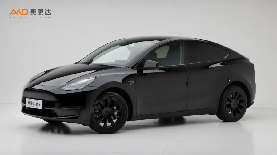 二手特斯拉Model Y 标准续航后驱版图片