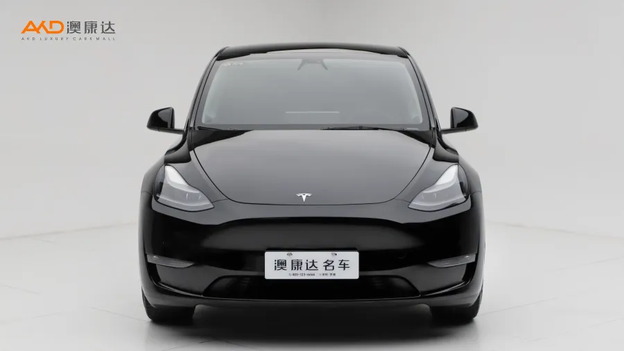 二手特斯拉Model Y 标准续航后驱版图片3555502