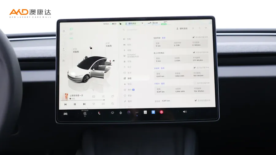 二手特斯拉Model 3 长续航全轮驱动版图片3556898