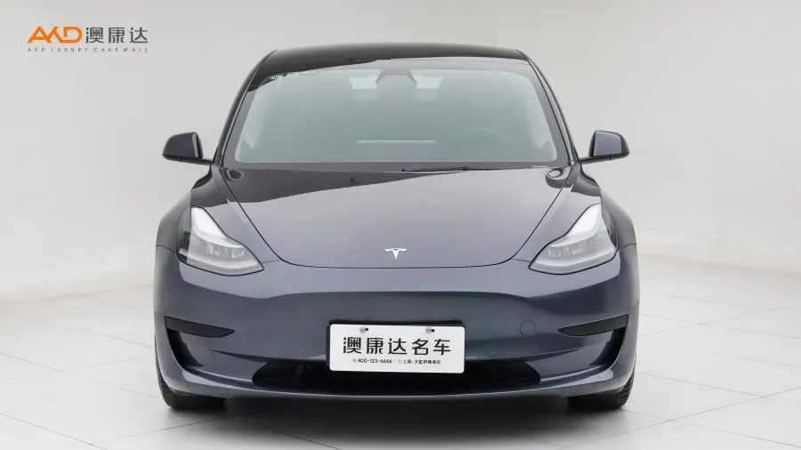 二手特斯拉Model 3 标准续航后驱升级版图片3559771