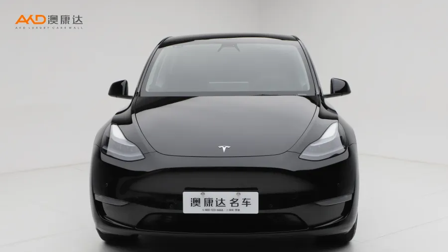 二手特斯拉Model Y 改款 长续航全轮驱动版图片3563600