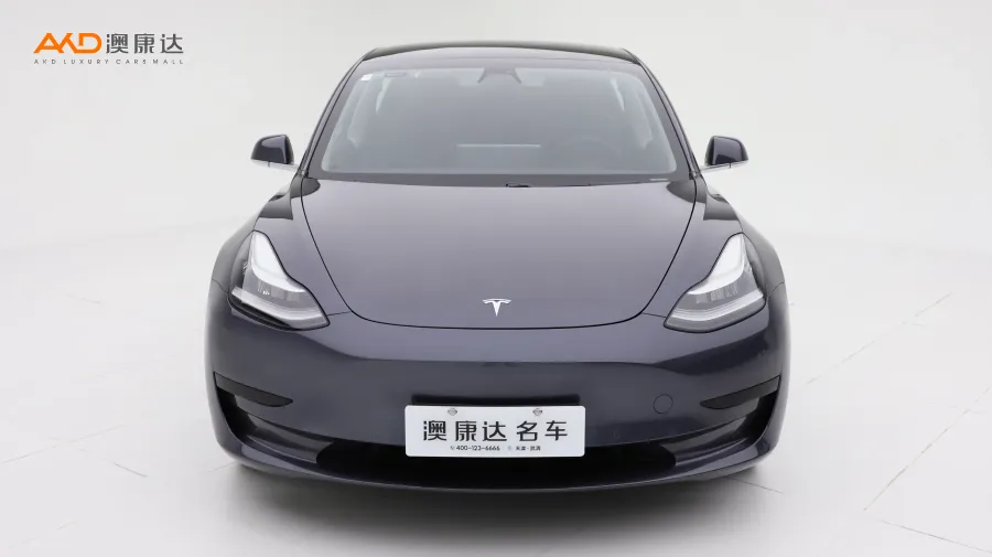 二手特斯拉Model 3 标准续航后驱升级版图片3563288