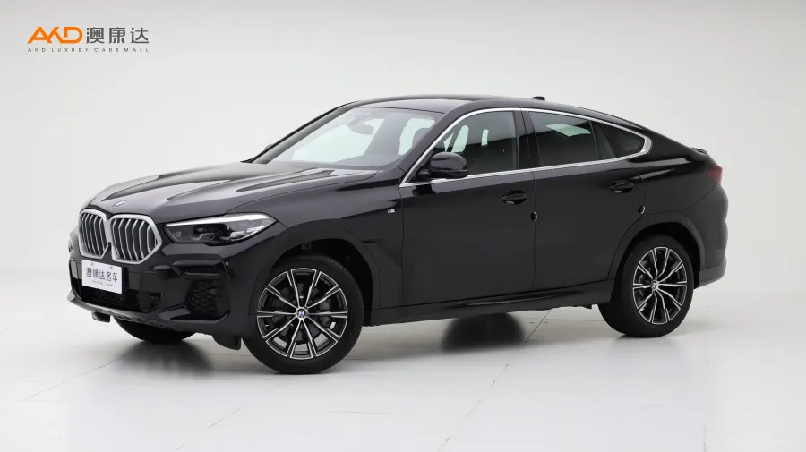 二手宝马X6 xDrive30i M运动套装图片