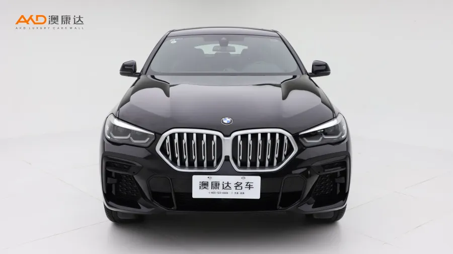 二手宝马X6 xDrive30i M运动套装图片3565609