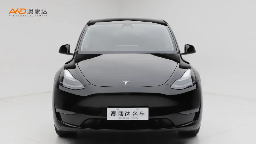 二手特斯拉Model Y 标准续航后驱版图片3566567