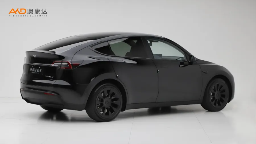 二手特斯拉Model Y 标准续航后驱版图片3566571