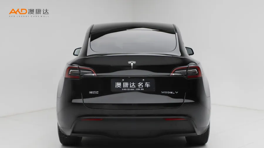 二手特斯拉Model Y 标准续航后驱版图片3566573