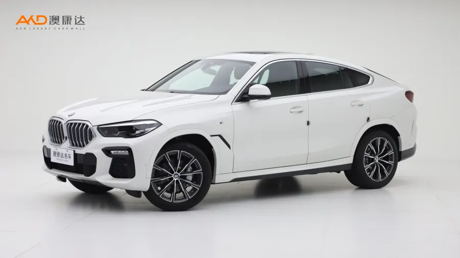 二手宝马X6 xDrive30i M运动套装图片