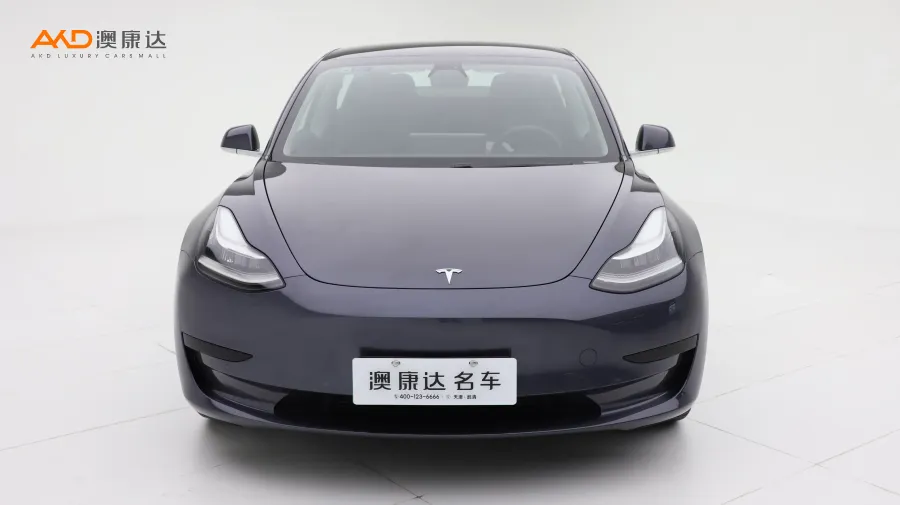 二手特斯拉Model 3 标准续航后驱升级版图片3572931