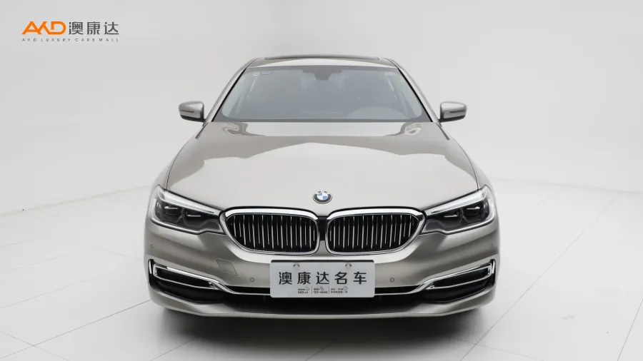 二手宝马530Li 领先型 豪华套装图片3572378