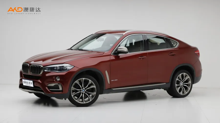 二手宝马X6 xDrive35i 豪华型图片